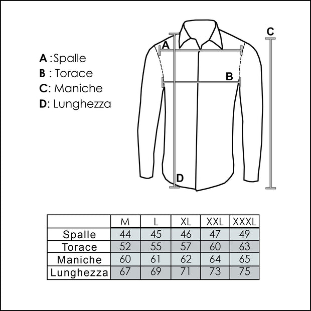 Camicia Manica Lunga a Righe Uomo - 02401